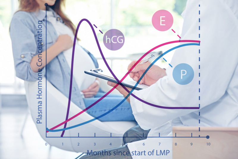 Frauenarzt zeigt Patientin HCG Tabelle mit HCG-Wert